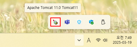tomcat on system tray menu